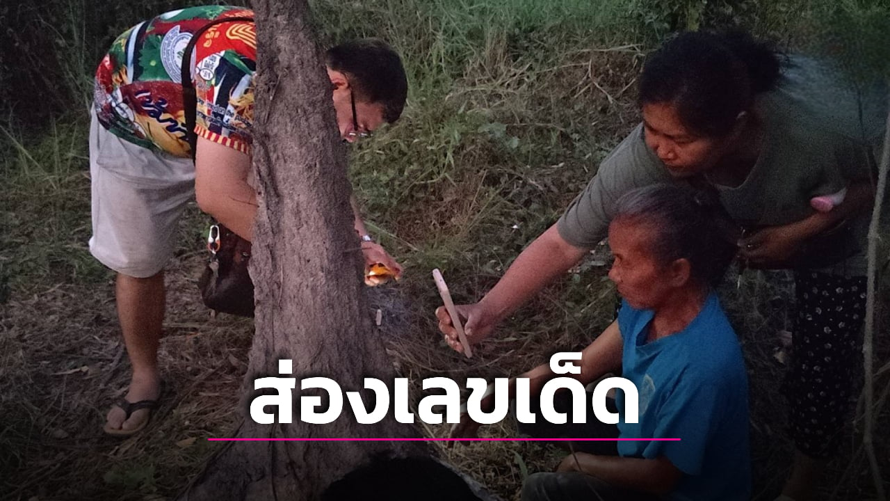 ฮือฮา ‘จอมปลวก’ 3 ขา โผล่กลางสวนป่า-นครนายก ‘คอหวย’ ไม่พลาดแห่ส่องเลขเด็ด