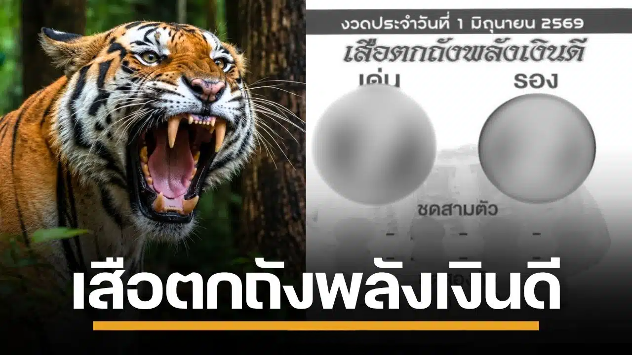 เลขเด็ด เสือตกถังพลังเงินดี งวด 1/6/69 จับตาเด่น ระวังเลขเบิ้ล เตรียมรับทรัพย์รัวๆ