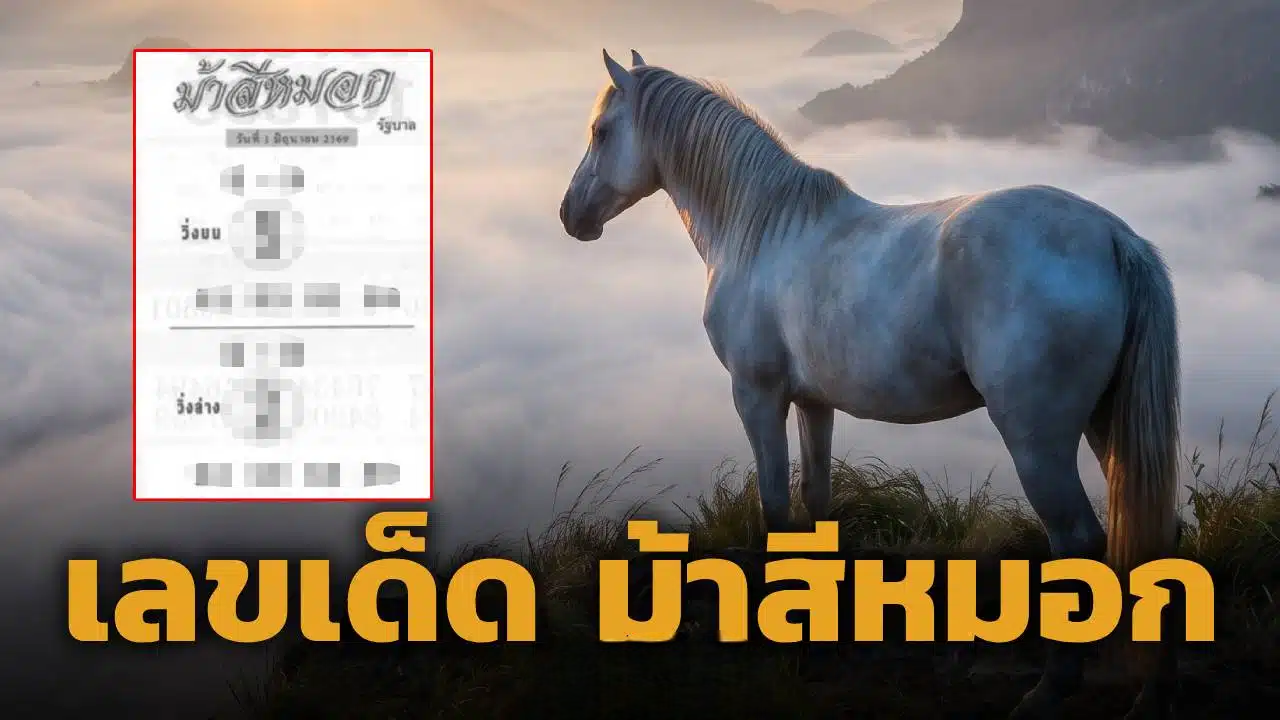 มาแล้ว! เลขเด็ด ม้าสีหมอก ปล่อยแนวทางงวด 1 มิ.ย. 69 เน้นเด่น 5-2 นำโชค