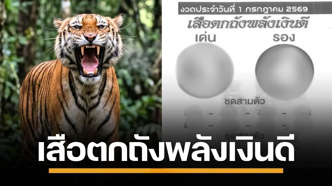 เลขเด็ด เสือตกถังพลังเงินดี งวด 7/1/69 เปิดเลขชุดแบบจุใจ บอกเลยห้ามพลาด!