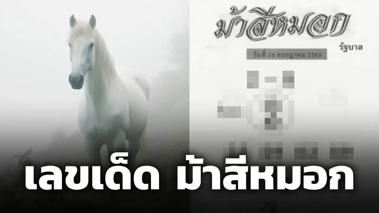 เลขเด็ด ม้าสีหมอก งวด 16 ก.ค. 69 ฟันธงเลขวิ่งบน-ล่าง คอหวยแห่จดด่วน