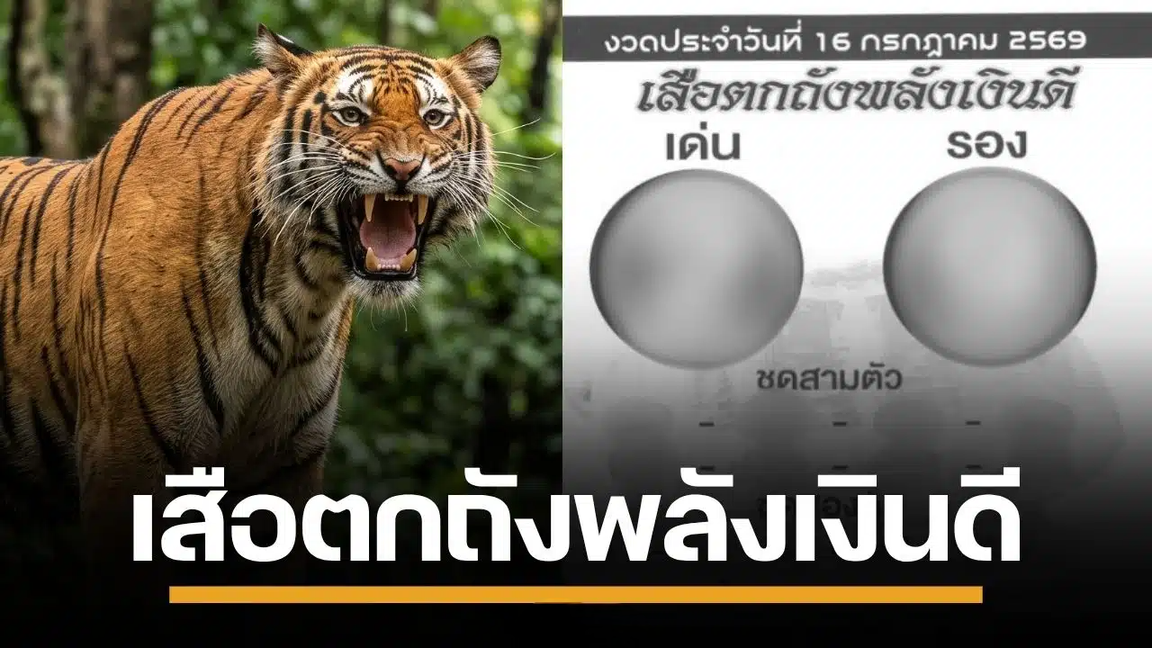 มาแล้ว! เลขเด็ด เสือตกถังพลังเงินดี งวด 16/7/69 มาเต็มทั้งเด่น-รอง ลุ้นรับทรัพย์ปังๆ