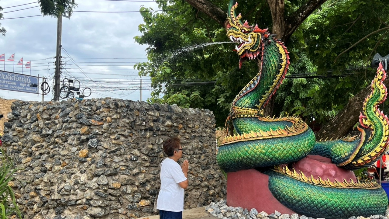 ชาวบ้านฮือฮา แห่ส่องเลขเด็ดหางประทัด พิธีอัญเชิญองค์พญานาค "พ่อปู่แสนตอง"