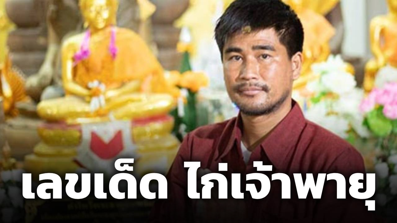 วันนี้หวยออก! เลขเด็ด ไก่เจ้าพายุ 1/8/69 สั่งวิ่งบนล่าง 4-6 ลุ้นโชคใหญ่บ่ายนี้