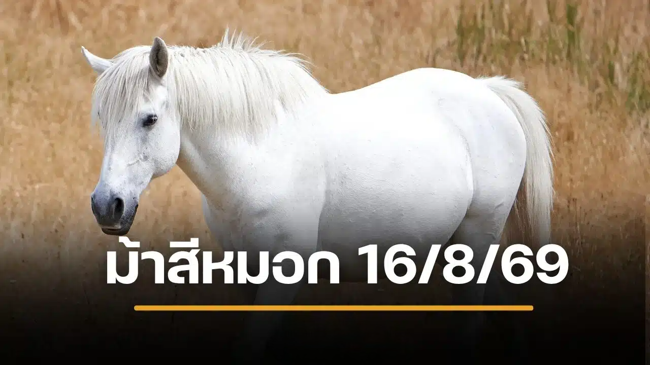 เลขเด็ด ม้าสีหมอก งวด 16 ส.ค. 69 เลขชุดสองตัว 8 ชุด