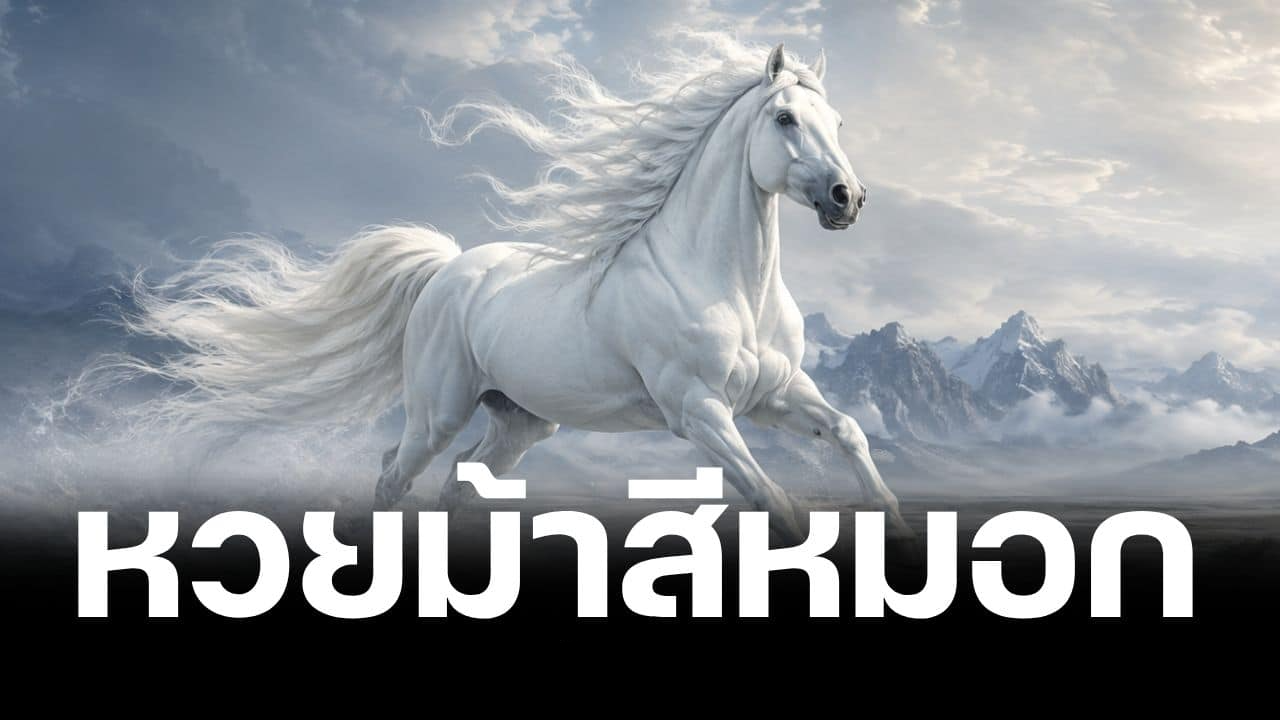 เลขเด็ด ม้าสีหมอก งวด 1 กันยายน 2569 คาบโพยแจกโชค หวยออกวันอังคาร