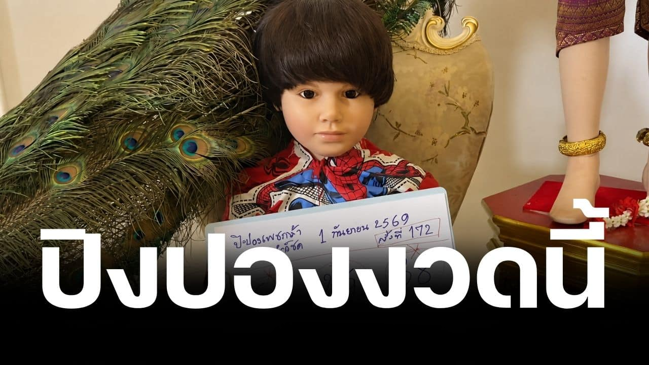 เลขเด็ดน้องเพชรกล้า งวด 1/9/69 แจกปิงปอง 2 ตัวตรง เรียงเลขชอบ 3 อันดับ