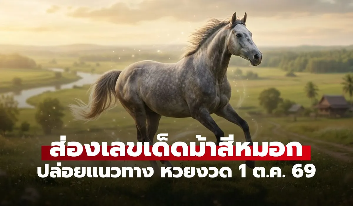 เลขเด็ดม้าสีหมอก งวด 1 ต.ค. 69 วิเคราะห์แนวทาง 1/10/69 ส่องด่วนก่อนหมดแผง