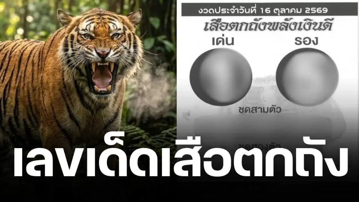 ชี้เป้ารวย! เลขเด็ด เสือตกถังพลังเงินดี งวด 16/10/69 ส่องเลขชุด จัดเต็มไม่มีกั๊ก